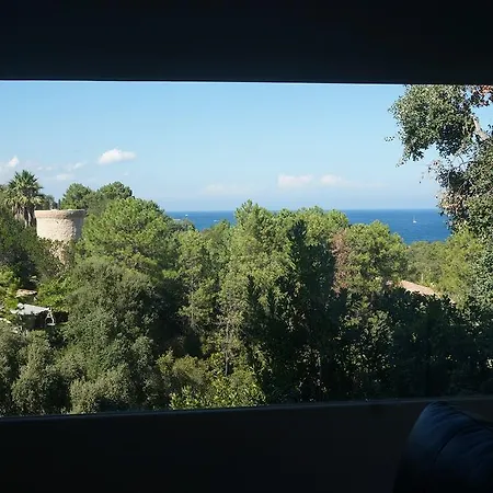Panoramique *